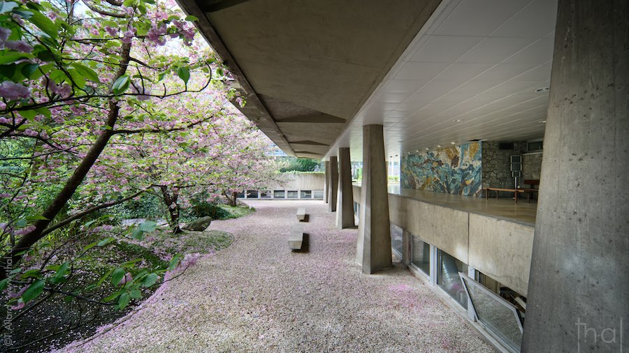Japanese garden under the UNESCO Delegations Pavilion