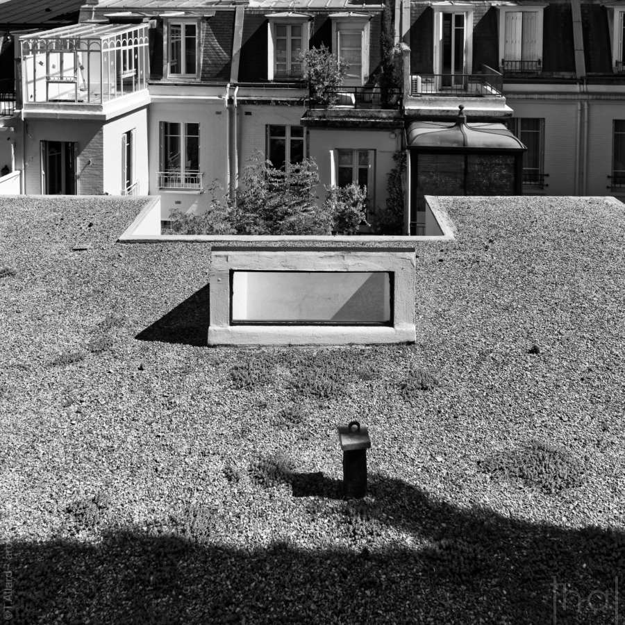 skylight on the La Roche house